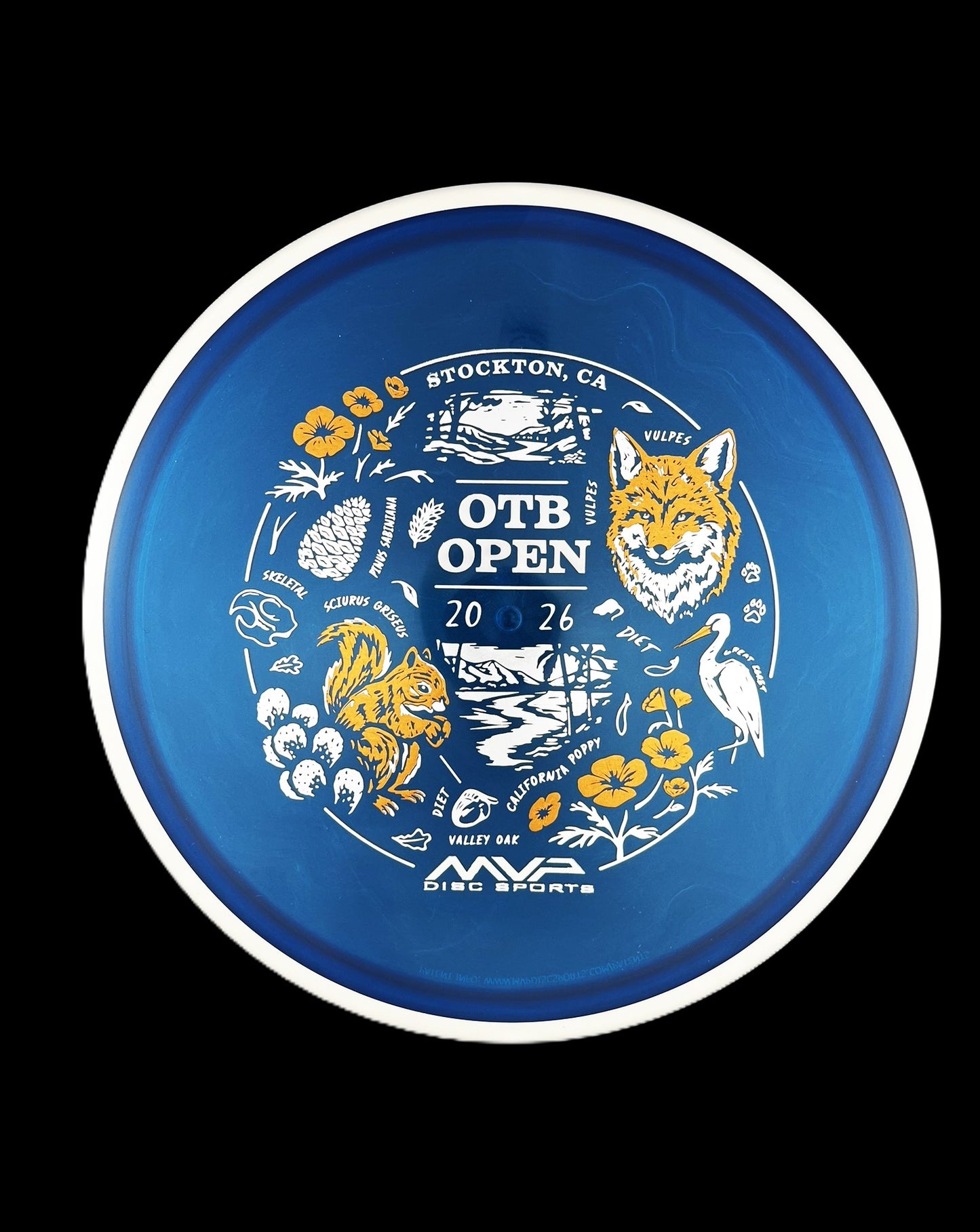 MVP Proton Reactor - OTB Open